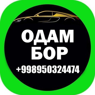 Telegram chat 🙋‍♂️ODAM BOR TOSHKENT BESHARIQ VODIY FARGONA ANDIJON NAMANGAN logo