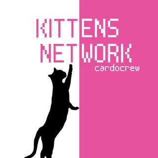 Telegram chat Kittens 🐱 Networking logo