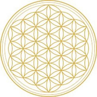 Telegram chat Оргониты. Orgonite. Общение единомышленников. logo