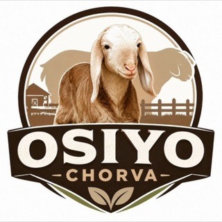 OSIYO.CHORVA - Telegram Groups