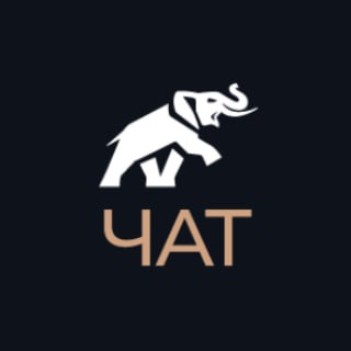 Telegram chat А. Палиенко - чат logo