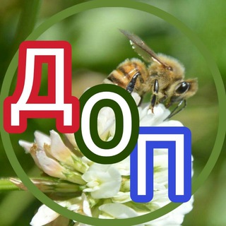 Telegram chat Доска Объявлений Пчеловодства: пчелопродукция, инвентарь пчелооборудование. РФ 🇷🇺 logo