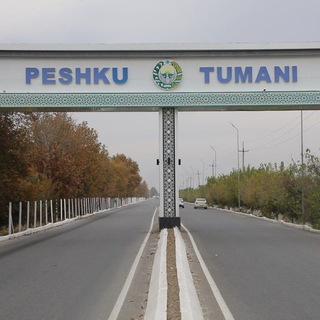 Telegram chat Peshkuda logo