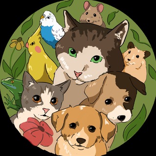 Telegram chat Грузия | Животные – Pets Georgia logo