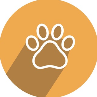 Telegram chat 🐕🐈🦜🐠 Животные КП logo