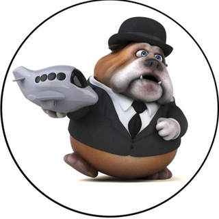 Telegram chat Доставка животных Пхукет,Паттая,Тайланд.Камбоджа.Вьетнам,Нячанг,Хошимин,Ханой,Дананг,Фукуок.Индонезия,Бали.ОАЭ. logo