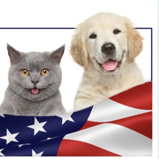 Telegram chat В США с животными переехать. Pets to USA logo