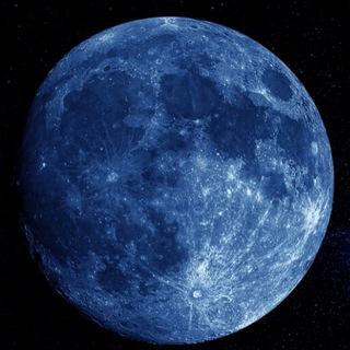 Telegram chat пиар чат | пиар ролок logo