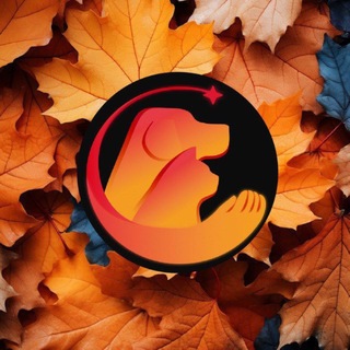 Telegram chat Питомцы Жулебино logo