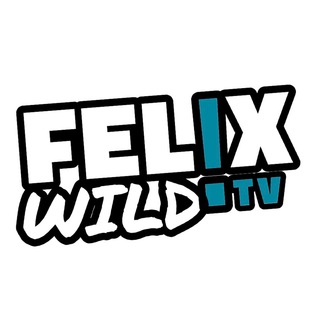 Telegram chat FELIXWILD.TV logo