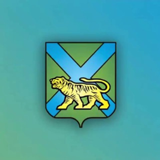 Telegram chat Правительство Приморья | Комментарии logo