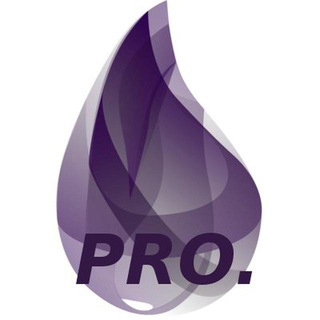 Telegram chat pro.elixir logo