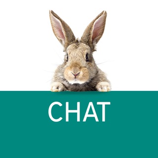 Telegram chat Pro.Expert Chat - Vaillant, Protherm, VGR logo