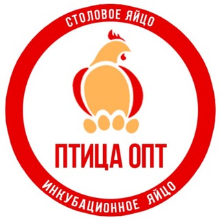 Telegram chat 🐣 ПтицаОпт - Инкубационное яйцо logo