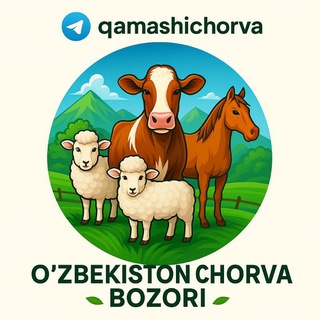 Telegram chat Qamashi chorva bozor logo