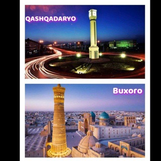 Telegram chat Qarshi Buxoro taksi logo