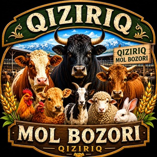 Qiziriq MOLBOZOR - Telegram Groups