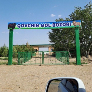 Telegram chat QOVCHIN MOL BOZORI logo