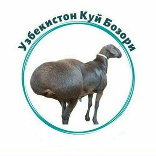 Namangan qoʻy bozori - Telegram Groups