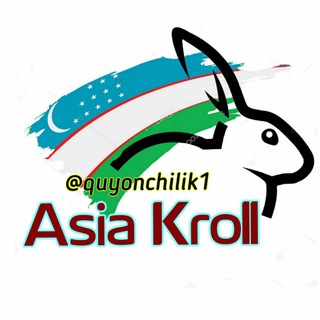 Telegram chat Asia Kroll logo