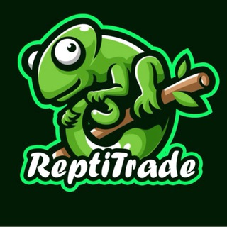 Telegram chat ReptiTrade - продажа рептилий | Террариумистика logo