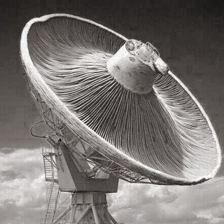 Telegram chat RF FAQ logo