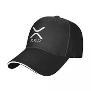 Telegram chat XRP Privacy logo