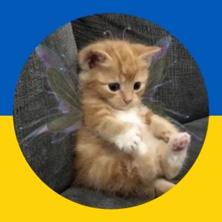 Telegram chat 🏳️‍🌈Пошук співгравців | Ролка українською | Укр рольова | пошук соролів🏳️‍🌈 logo