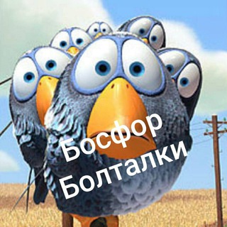 Telegram chat ЖК Босфор Болталка, г.Новороссийск logo