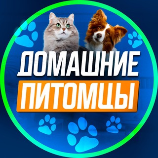 Telegram chat ДОМАШНИЕ ПИТОМЦЫ. Сахалин. logo