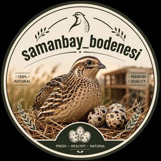 Telegram chat SAMANBAY_BODENESI logo