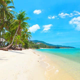Логотип телеграм-чата samui_chatik — Мой Самуи 🏝🇹🇭 Взаимопомощь