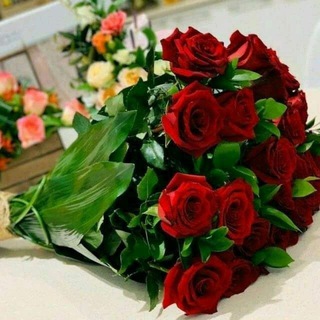 TUGʻULGAN KUN UCHUN TABRIKLAR - Telegram Groups
