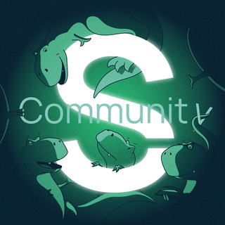 Telegram chat Selectel Community logo