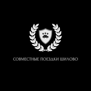 Telegram chat Совместные поездки Шилово logo