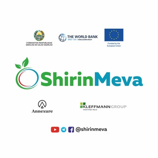 Telegram chat ShirinMeva group logo