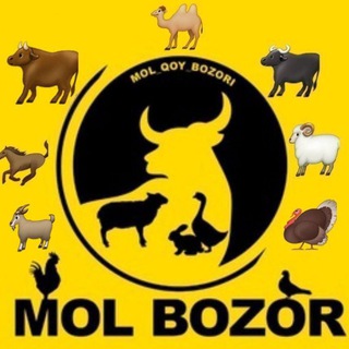 Telegram chat SHOFIRKON MOL BOZOR N_1 logo