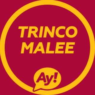 Telegram chat Тринкомали🇱🇰 Sri Lanka logo