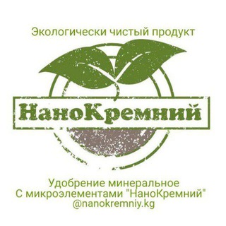 Telegram chat НаноКремний Кыргызстан logo