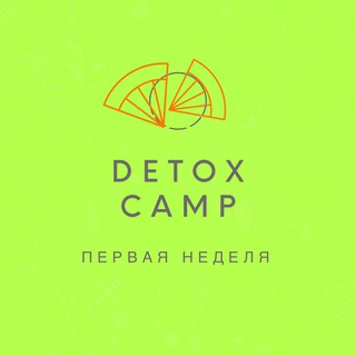 Telegram chat DETOX CAMP logo