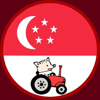 Telegram chat Сингапур logo