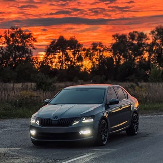Telegram chat Skoda Octavia A7 / Октавия А7 logo