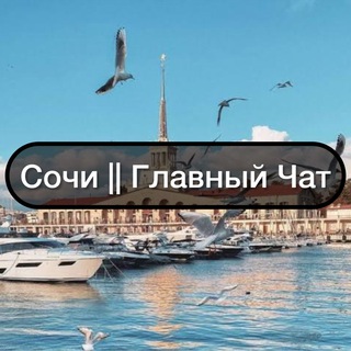Telegram chat Сочи || Главный Чат logo