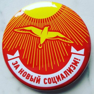 Telegram chat Движение За Новый Социализм (чат) logo