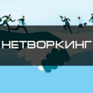 Telegram chat Нетворкинг-чат logo