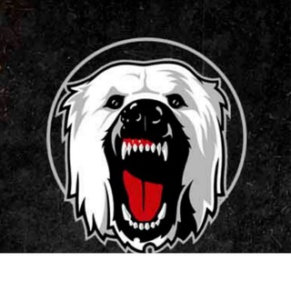 Telegram chat Чат канала White Dog 🥎[Ставки и прогнозы на спорт] logo