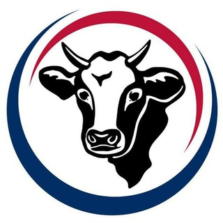 Telegram chat SURXON MOL BOZORI/NO'MONJON_AHMEDOV logo