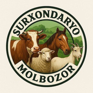 Telegram chat Surxondaryo Molbozor | Surxandaryo Molbozor | Сурхондарё Молбозор Umid Rashidov logo