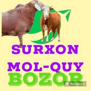 Telegram chat SURXONDARYO MOL BOZORI🐎🐑🐂 logo