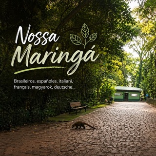 Telegram chat Nossa Maringá logo